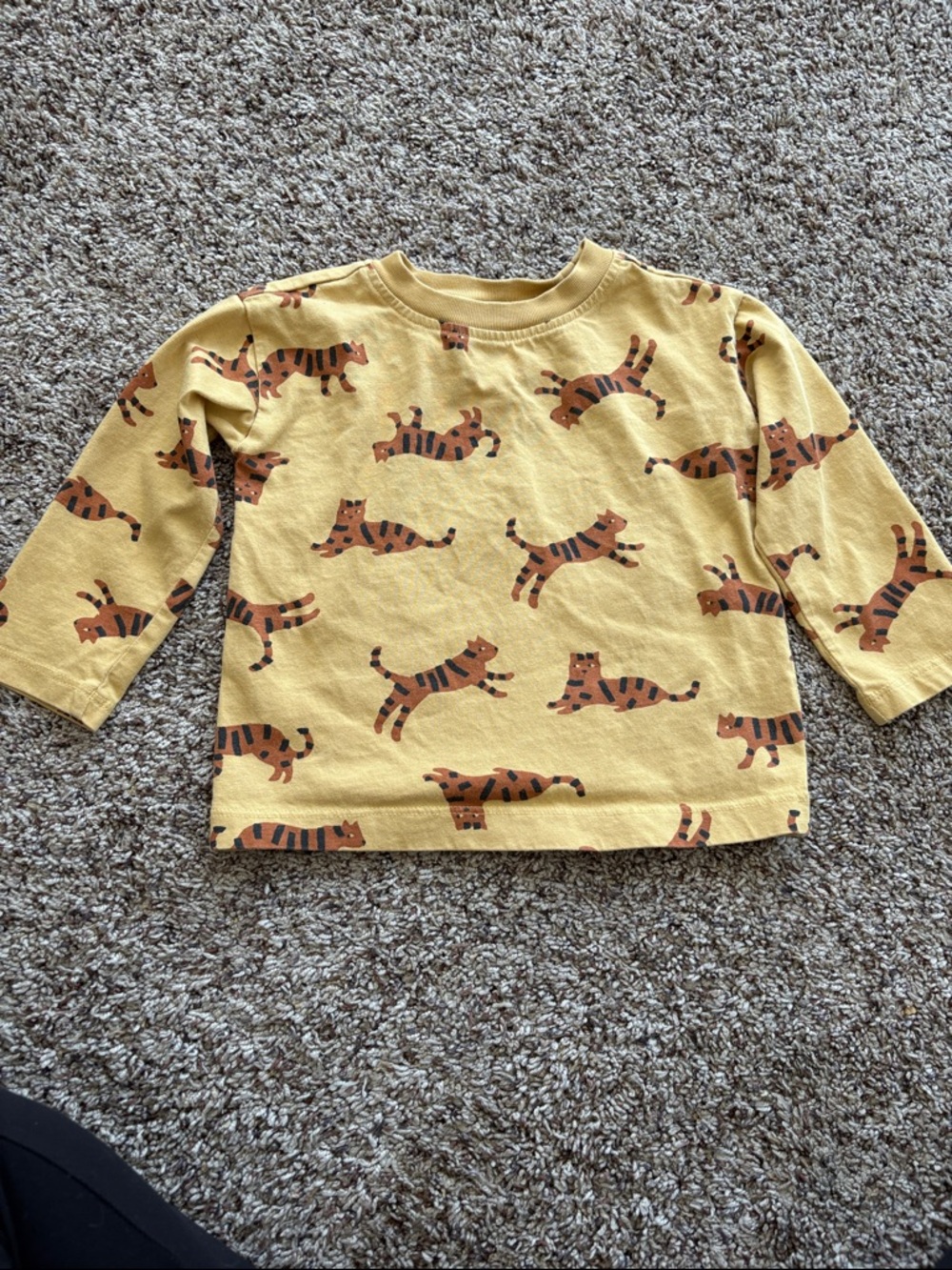 Hanna Andersson Mustard Long-Sleeve Tiger Print Tee